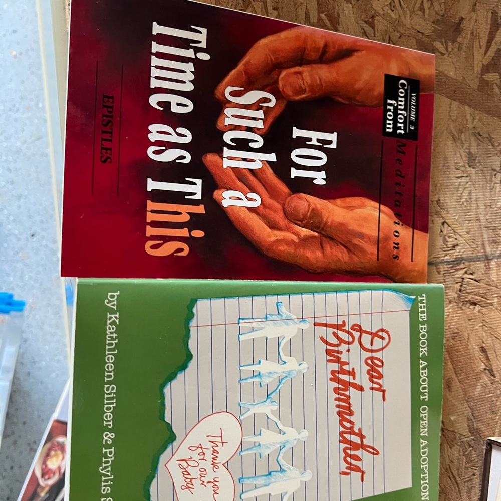 Lot of 2 Adoption books, Dear Birthmother, and For Such a Time as This.